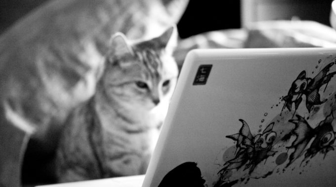 Are You Stimulating Your Readers?